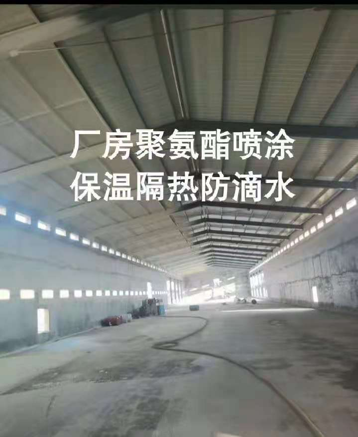 廠(chǎng)房聚氨酯噴涂